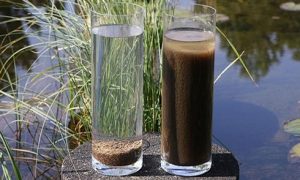 bùn vi sinh xử lý nước thải